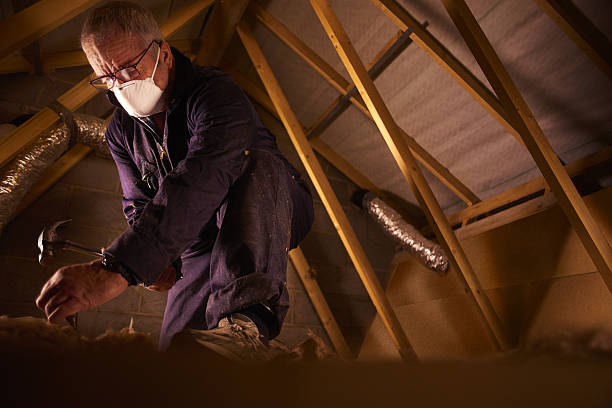 Best Eco-Friendly Insulation in Hildebran, NC