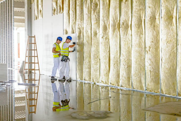 Best Commercial Insulation in Hildebran, NC